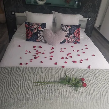 Le Phoenix 3* Aux-Aussat