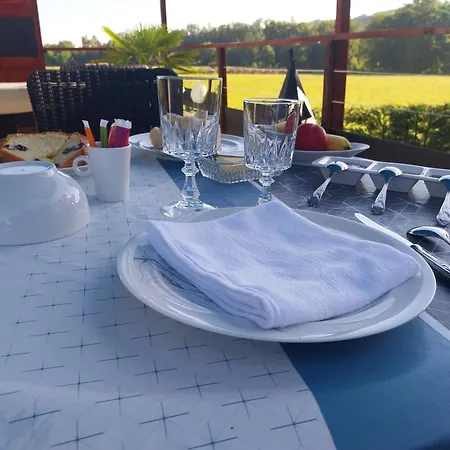 Le Phoenix 3* Aux-Aussat