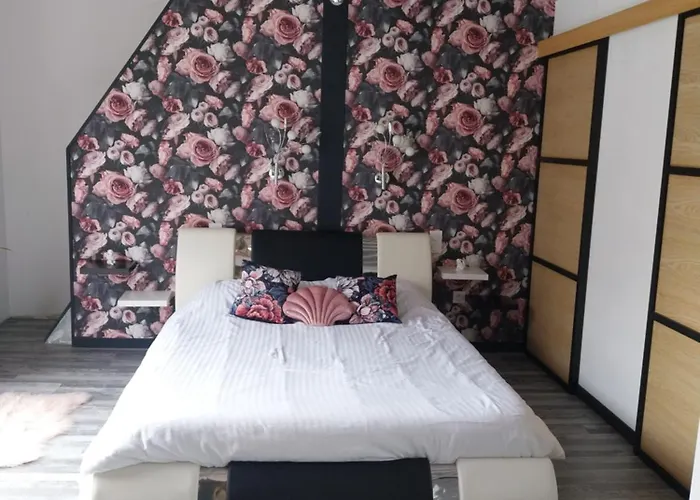 Bed and breakfast Le Phoenix Aux-Aussat