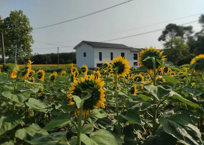 Le Phoenix Bed and breakfast 3*