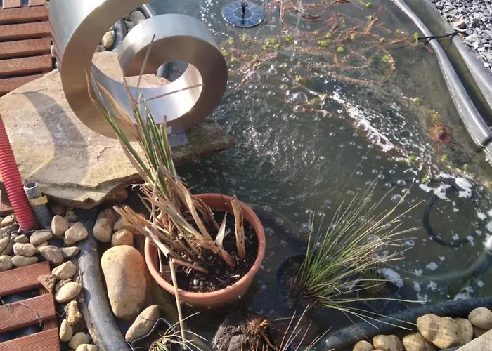 Le Phoenix Aux-Aussat