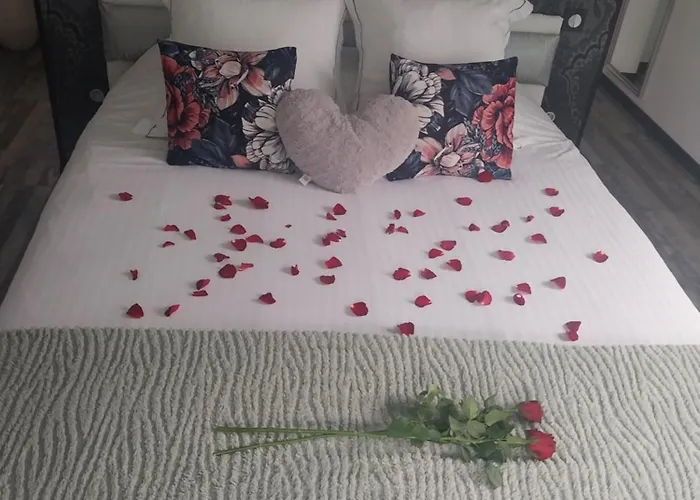 Le Phoenix 3* Aux-Aussat