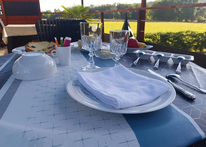 Le Phoenix 3* Aux-Aussat