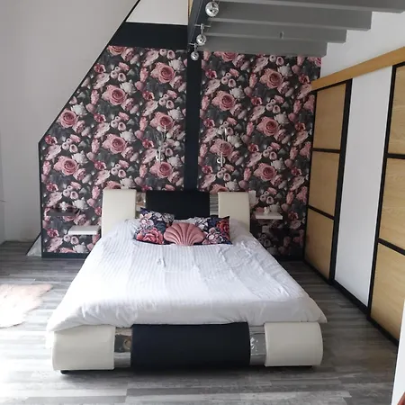 Bed and Breakfast Le Phoenix Aux-Aussat