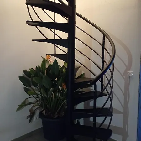 Bed and Breakfast Le Phoenix Aux-Aussat