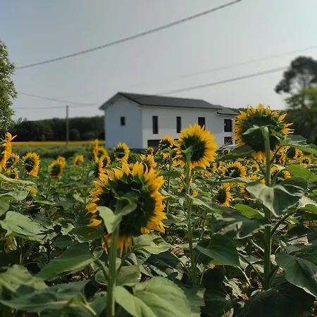 Le Phoenix Bed and Breakfast 3*