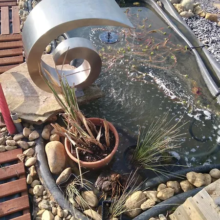 Le Phoenix Aux-Aussat